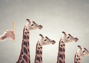 The heads of four giraffes of differing height appear in profile. A business person’s hand holds a ruler up next to them.